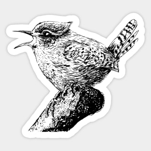 Wren bird ink painting Sticker